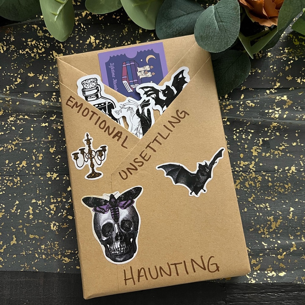 Blind Date With A Book — Romance/Thriller